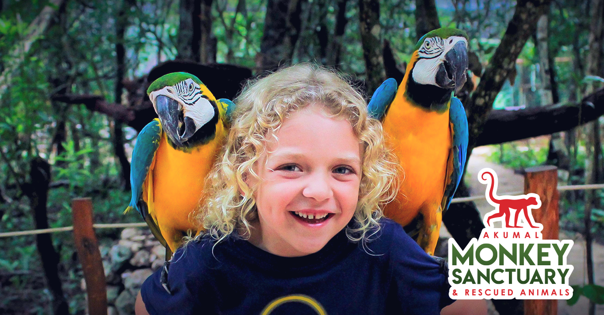 Inicio Akumal Monkey Sanctuary
