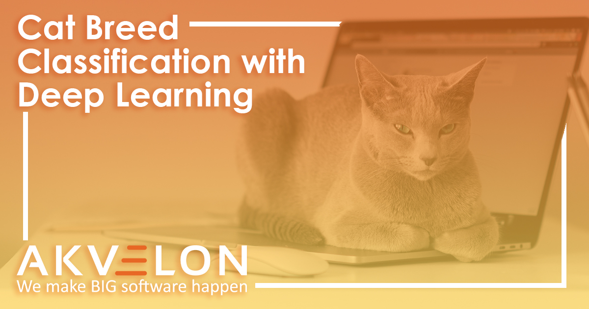 Introducing a Cat Breed Scanner App