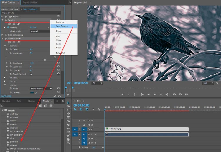 Adobe premiere pro presets not saving gertyproperty