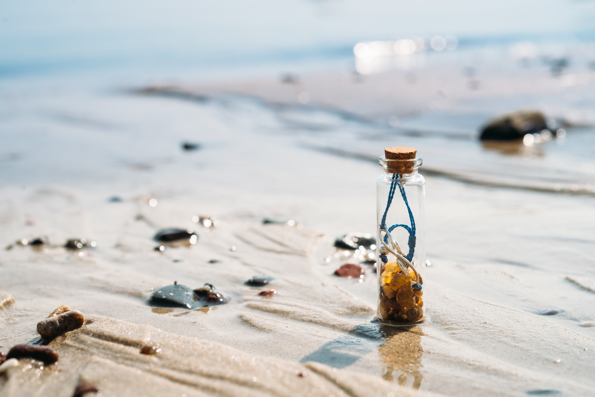 Nowy Seabin w Gdyni! Akwarium Gdyńskie MIRPIB