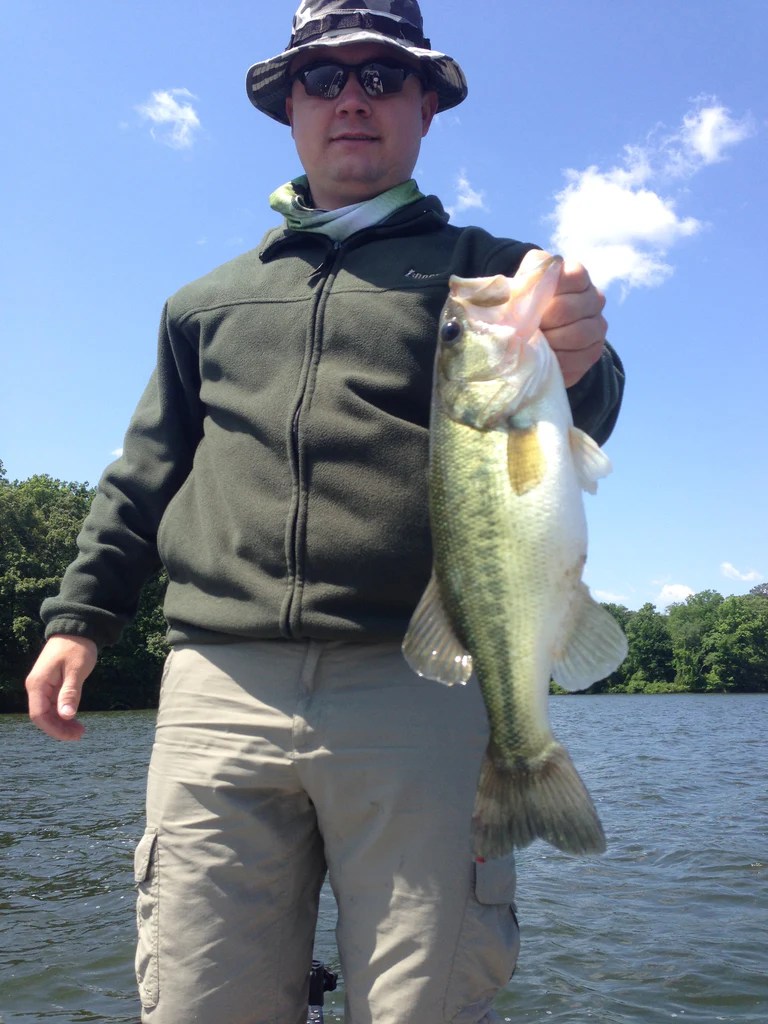 Mayflies on Wheeler Lake Alabama Bass Guide
