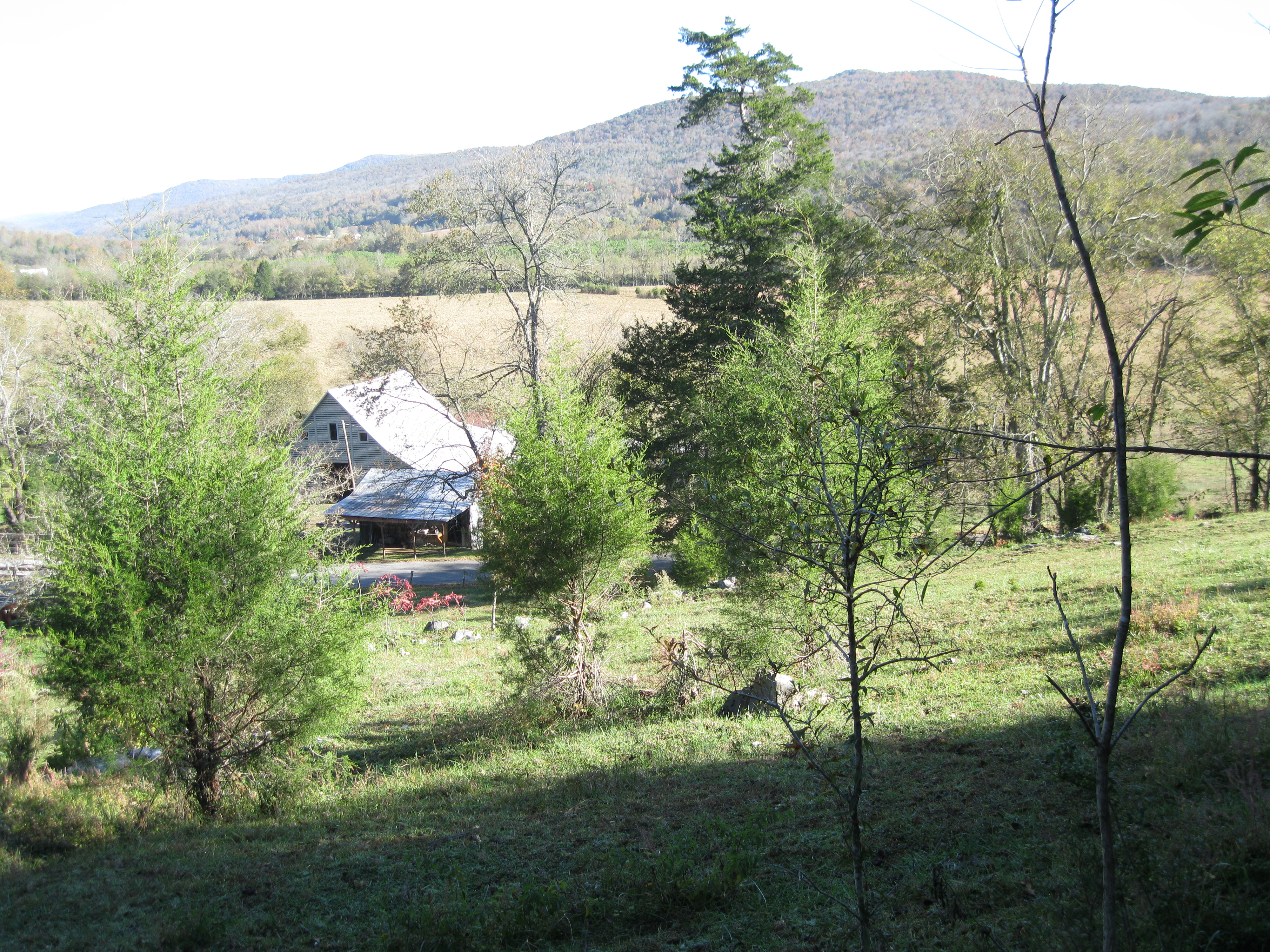 Birding Trip to Paint Rock Valley (NABT) Alabama Birding Trails