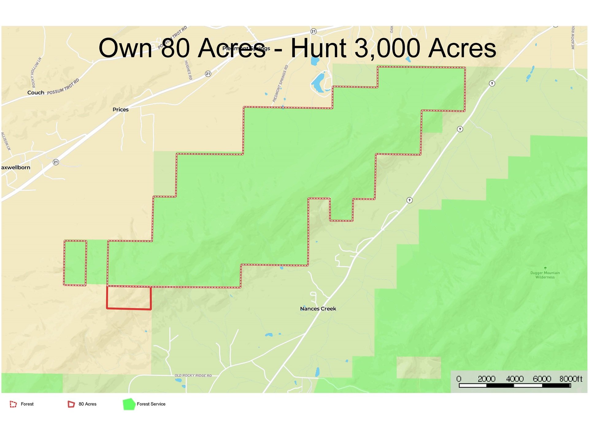 Hurricane Mountain 80 Acres bordering 3,000 acres of Talladega National