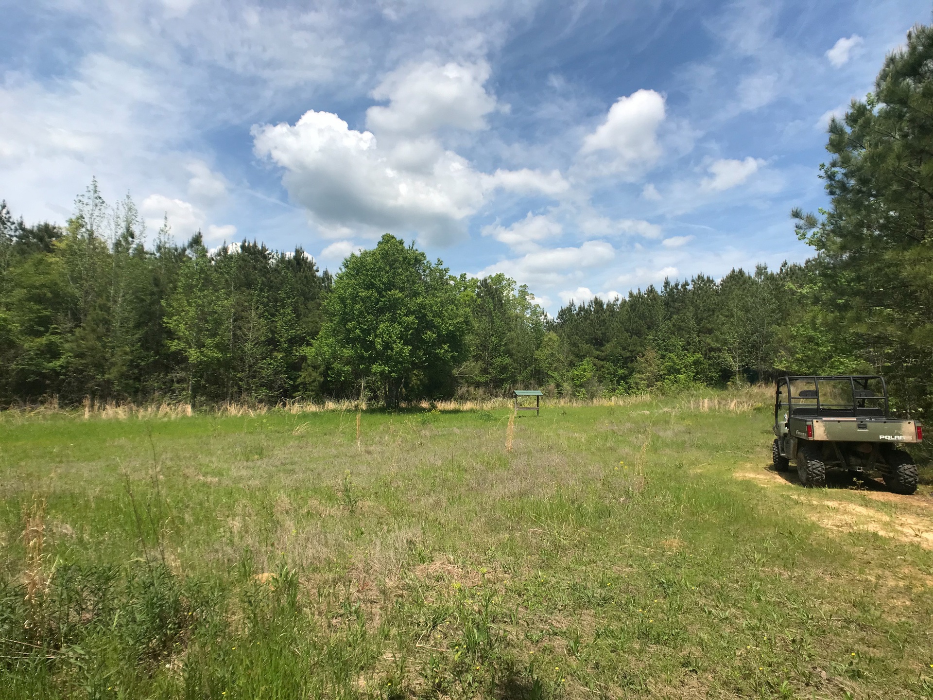 92 Acre Hunting Camp on Kelly Creek Alabama Land Agent
