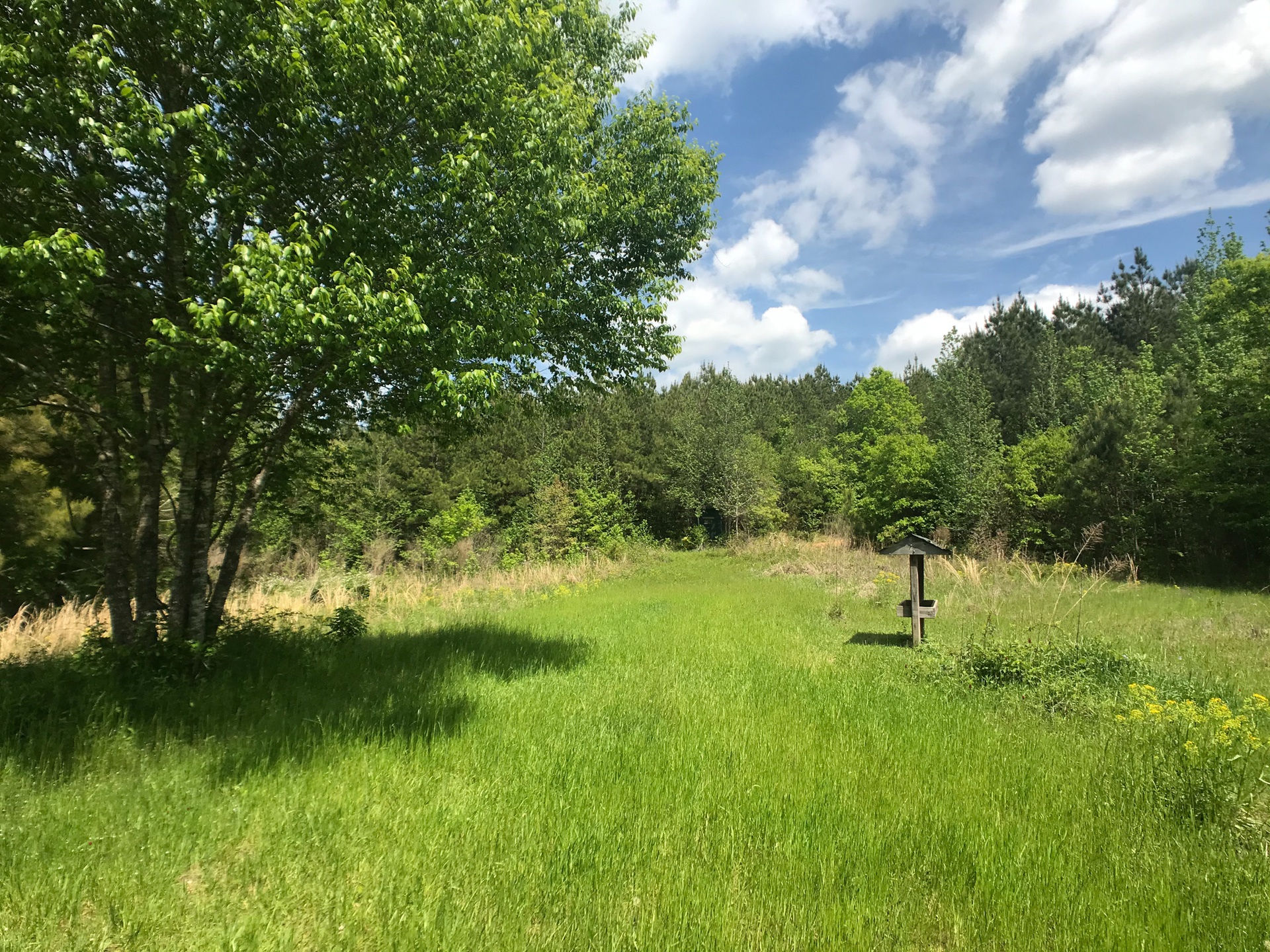 92 Acre Hunting Camp on Kelly Creek Alabama Land Agent