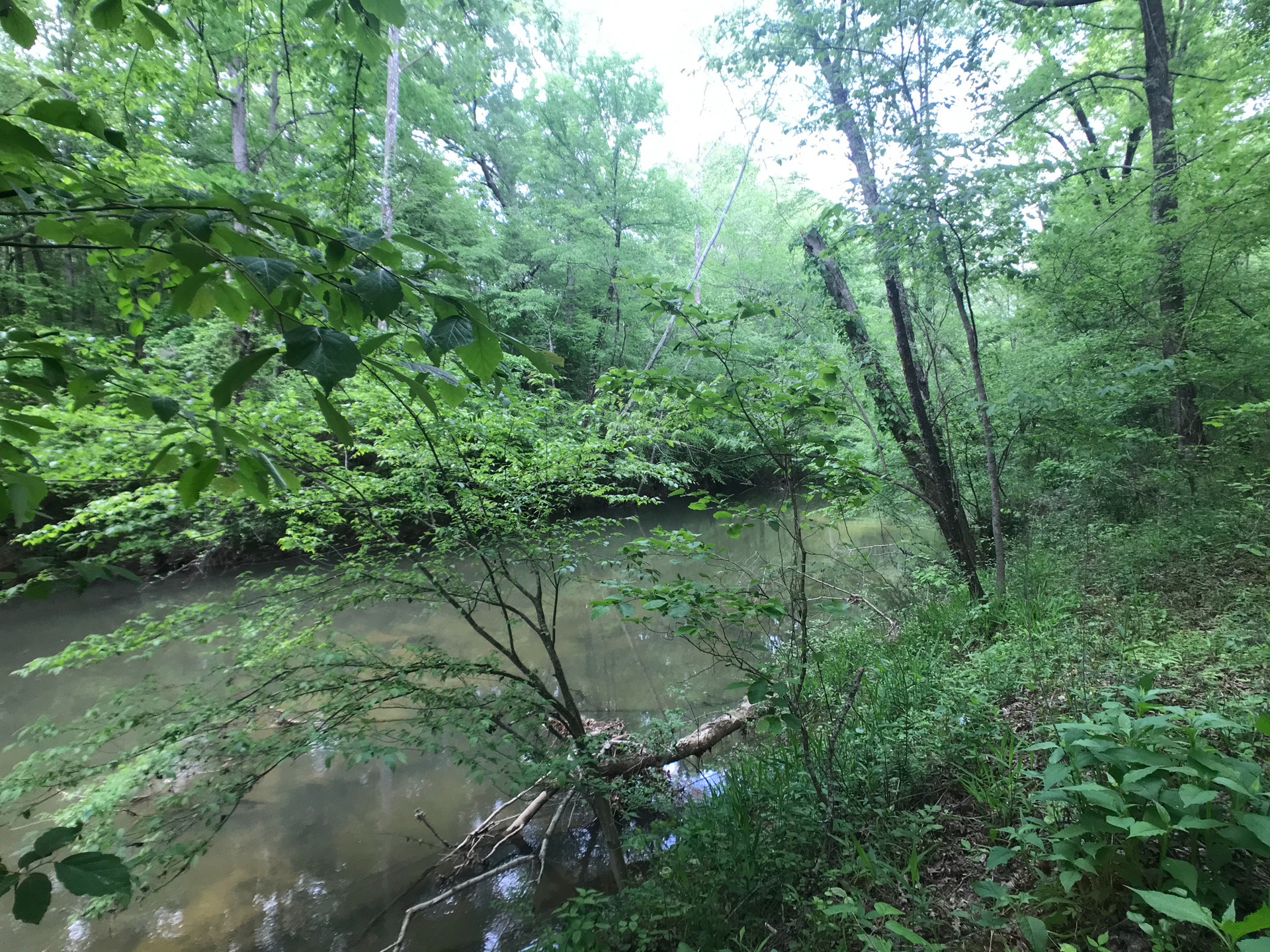 92 Acre Hunting Camp on Kelly Creek Alabama Land Agent