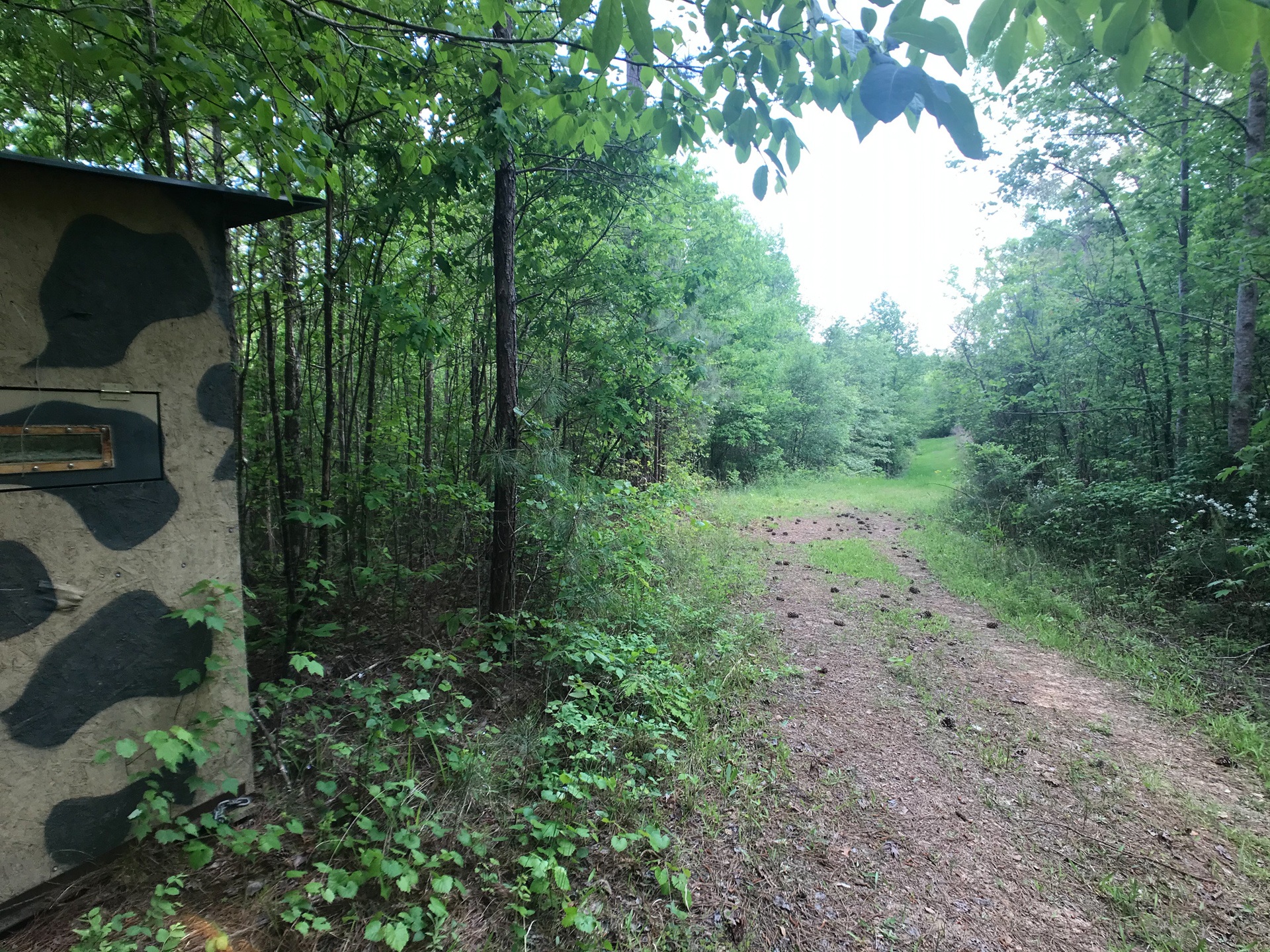 92 Acre Hunting Camp on Kelly Creek Alabama Land Agent