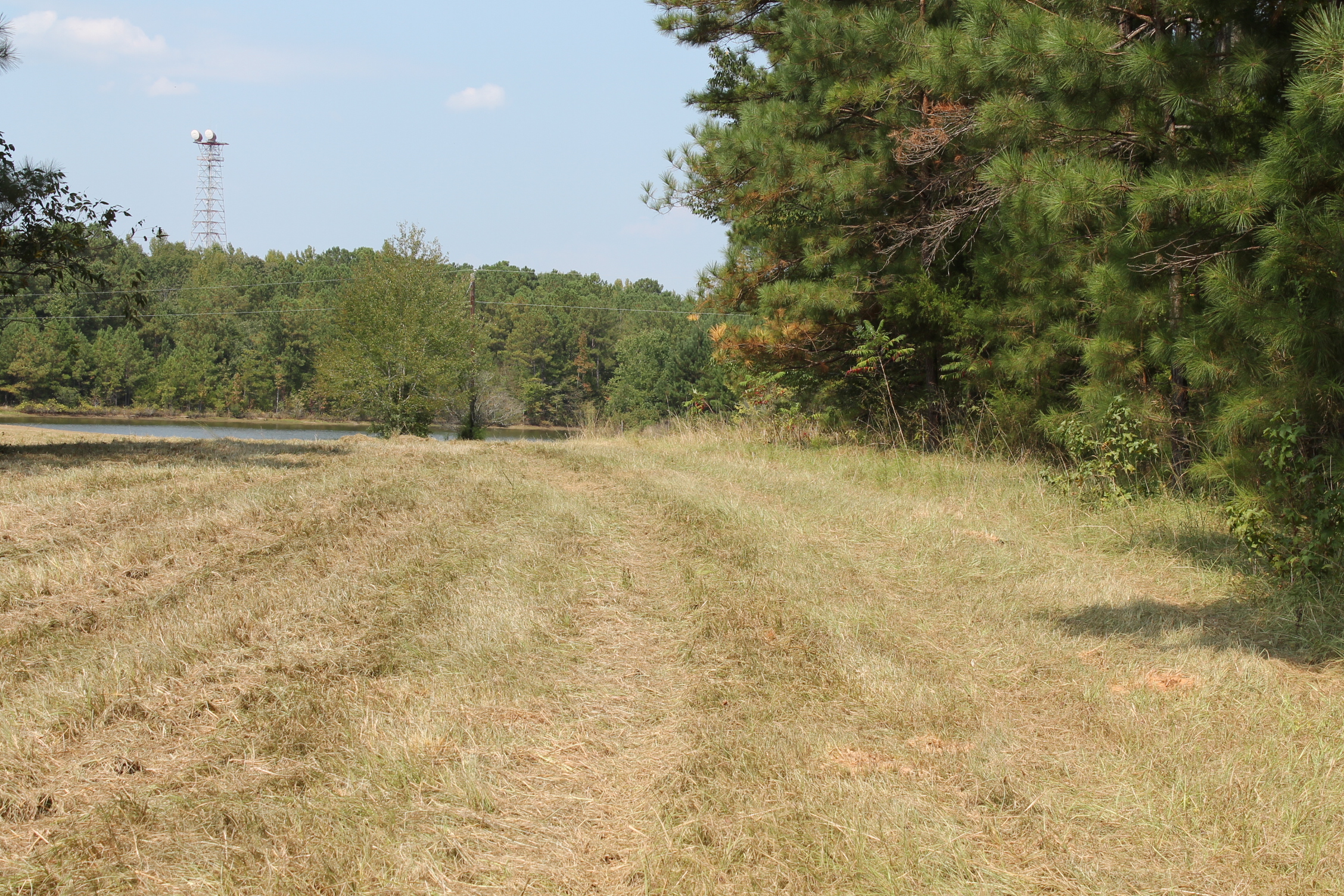 Land For Sale Price 72,000 1017