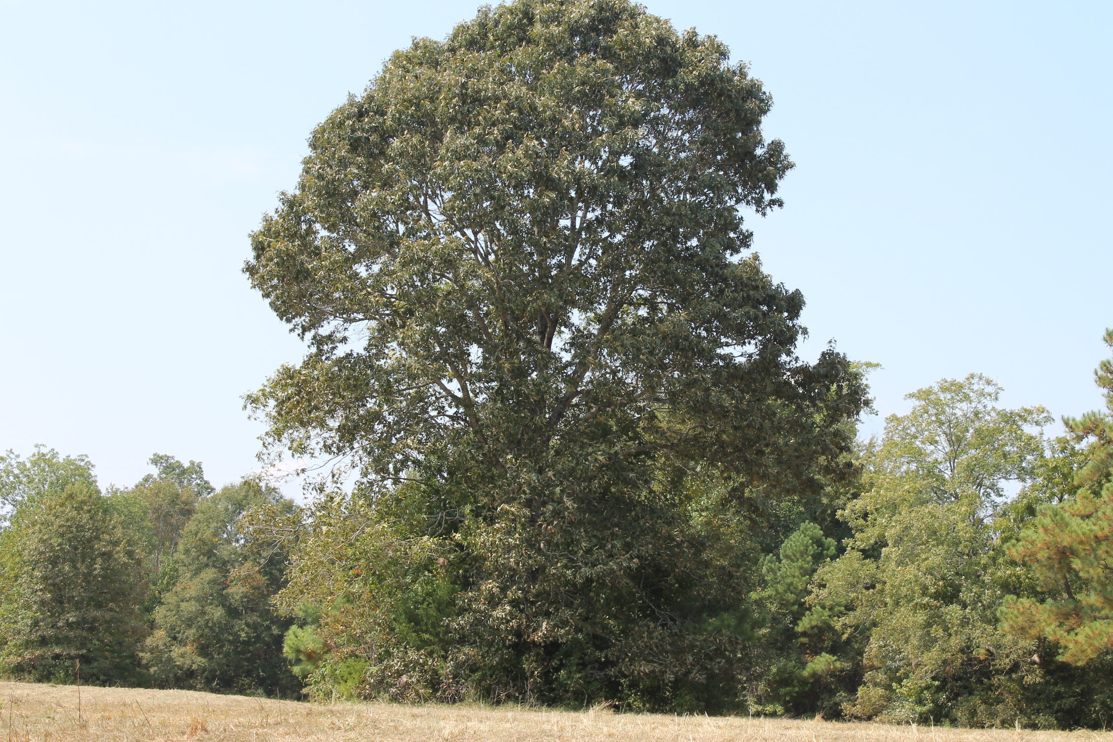 Land For Sale Price 72,000 1017