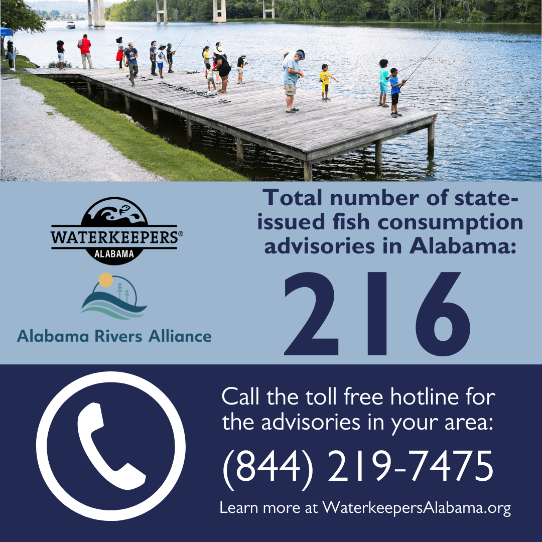 Fish Consumption Advisories for 2023 are out! Alabama Rivers Alliance