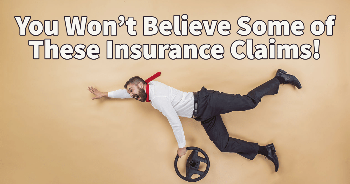 You Won't Believe Some of These Insurance Claims! Alabama Wild Man