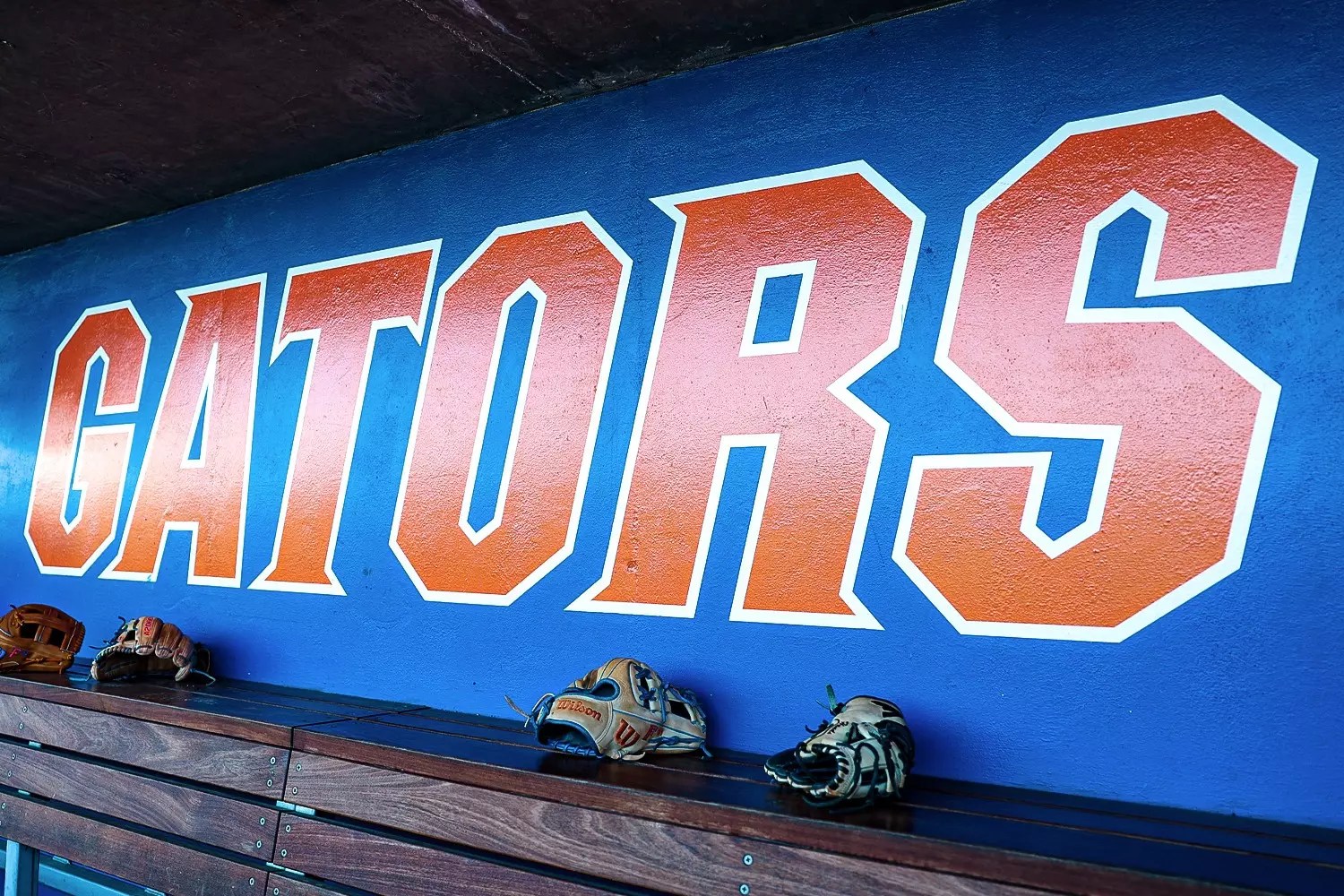 UF Head Baseball Coach Kevin O'Sullivan returns to program Alachua