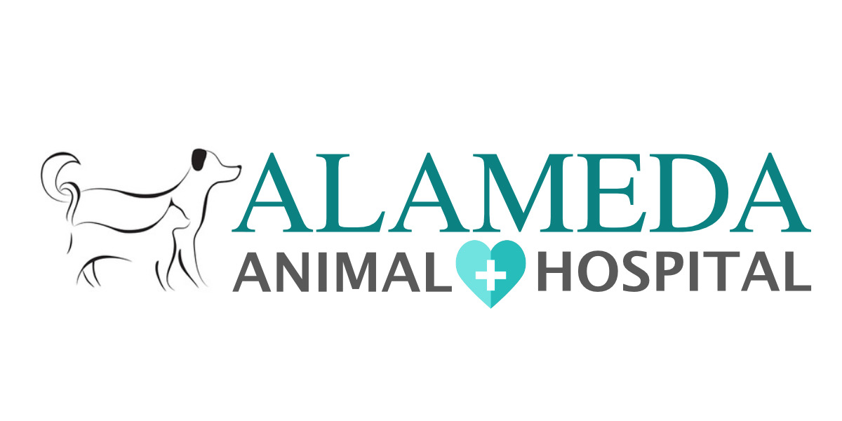 Financial in Compton, CA Alameda Animal Hospital