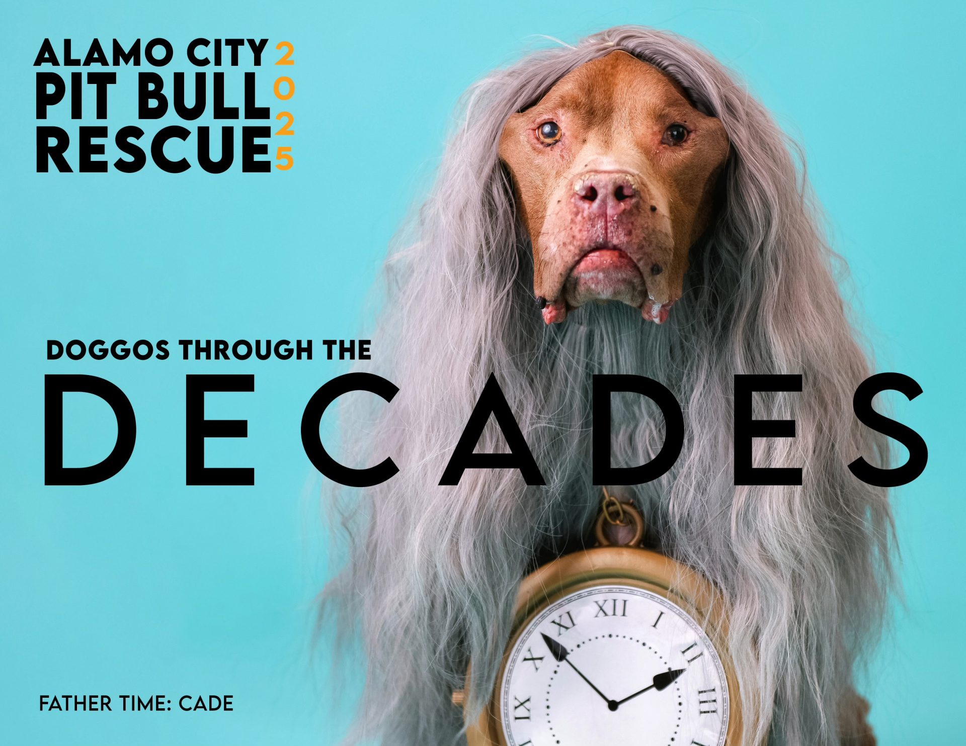 2025 ACPBR Calendar Alamo City Pit Bull Rescue San Antonio, Texas