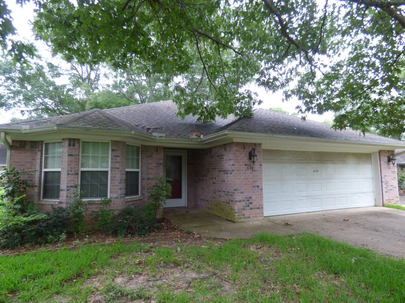 P1000452 Alamo Realty