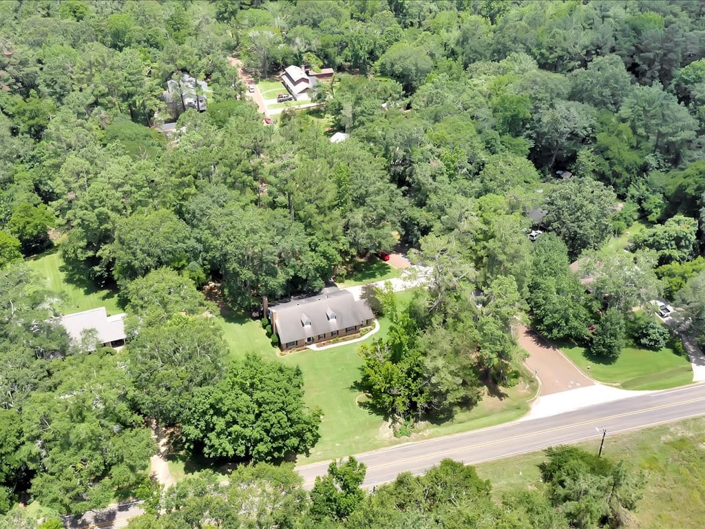 46Aerial Alamo Realty