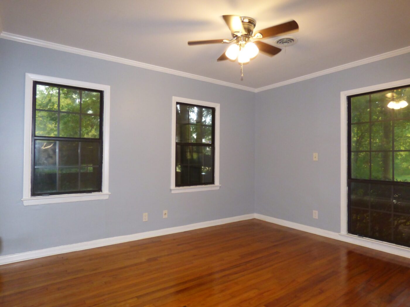 P1000689 Alamo Realty