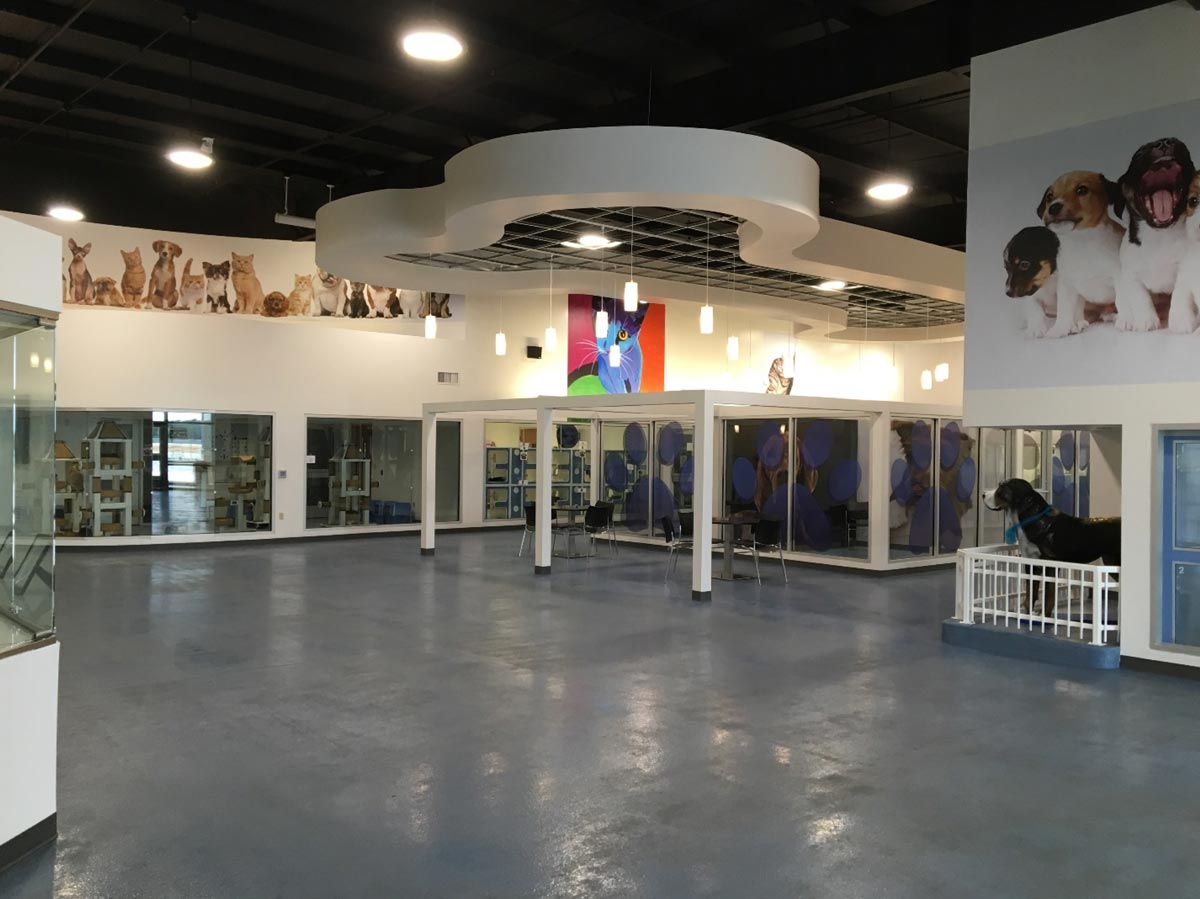 Laurie P. Andrews PAWS Center Alamo System Industries