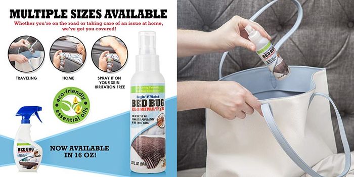 bed bug eliminator _s Pest Story 害虫特攻队