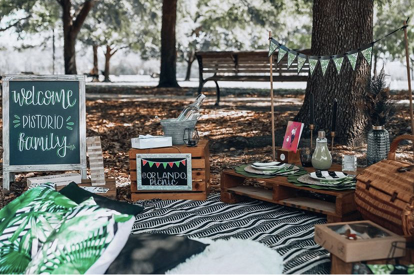 FULL REVIEW OF OUR PICNIC WITH ORLANDO PICNICS! Al & Lo
