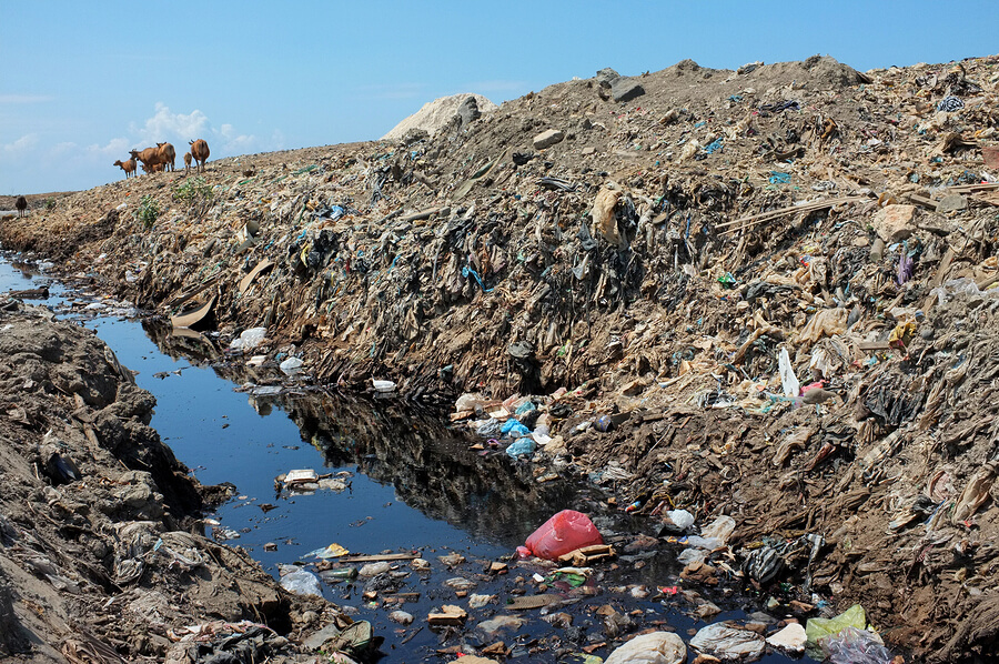 Dioxin and Furans What are they and their effects on Human Health A