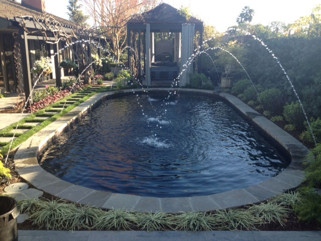 Black Quartz & Plaster | Alan Smith Pools
