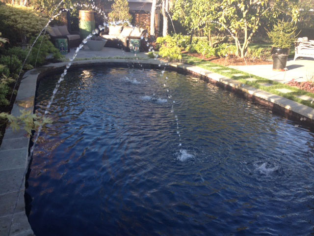 Black Quartz & Plaster | Alan Smith Pools