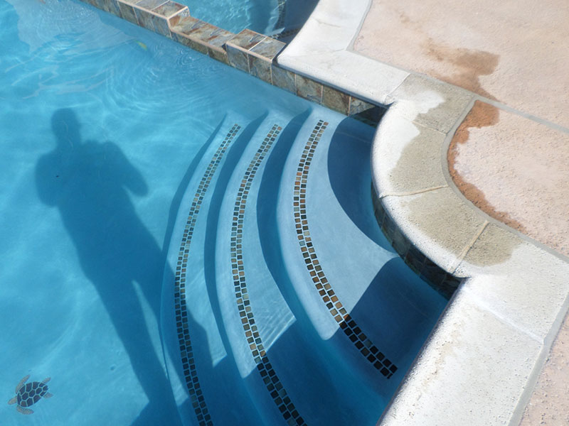 Trim Tile and Spotters Alan Smith Pools