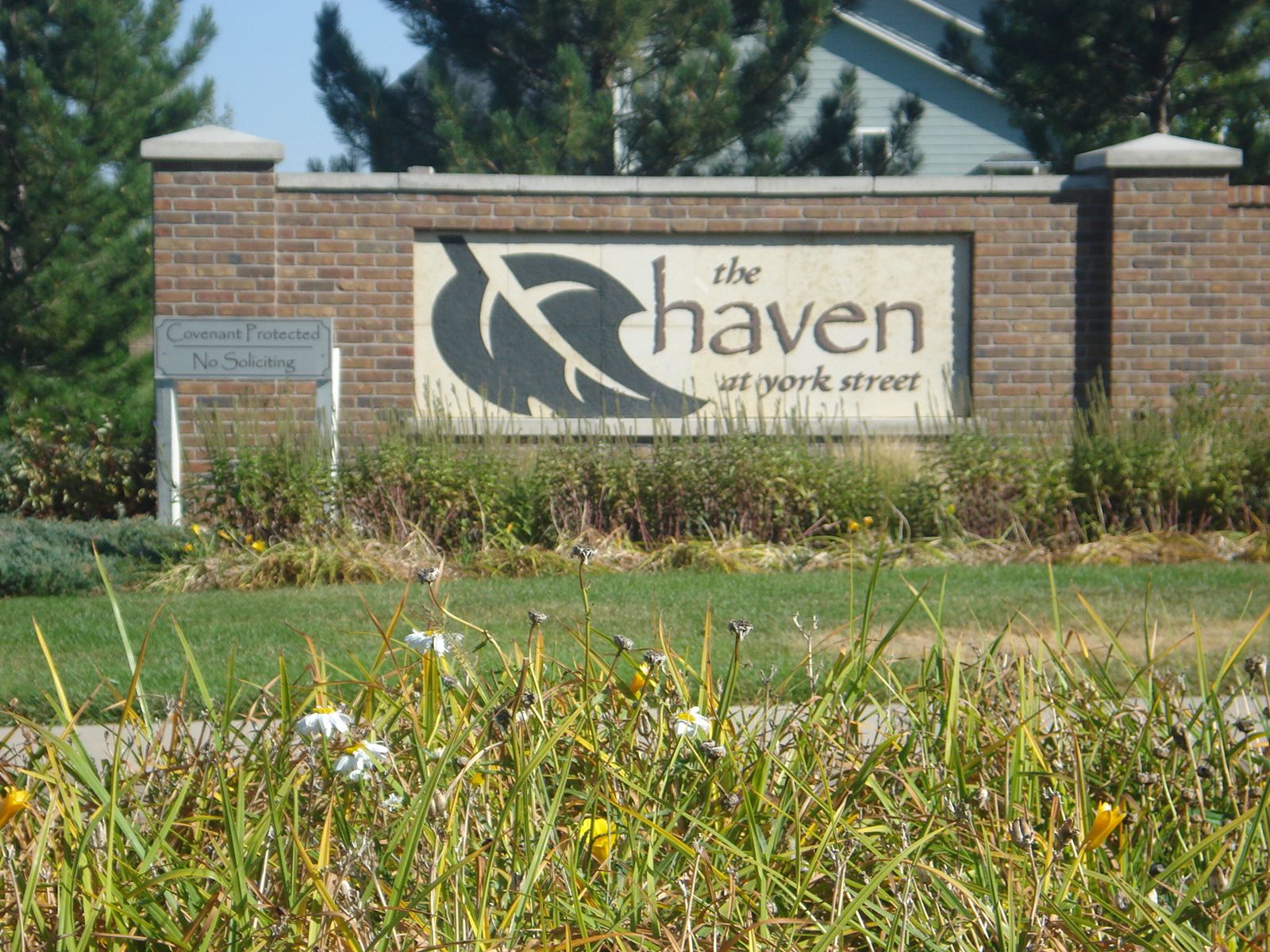 Thornton, Colorado a New Business!