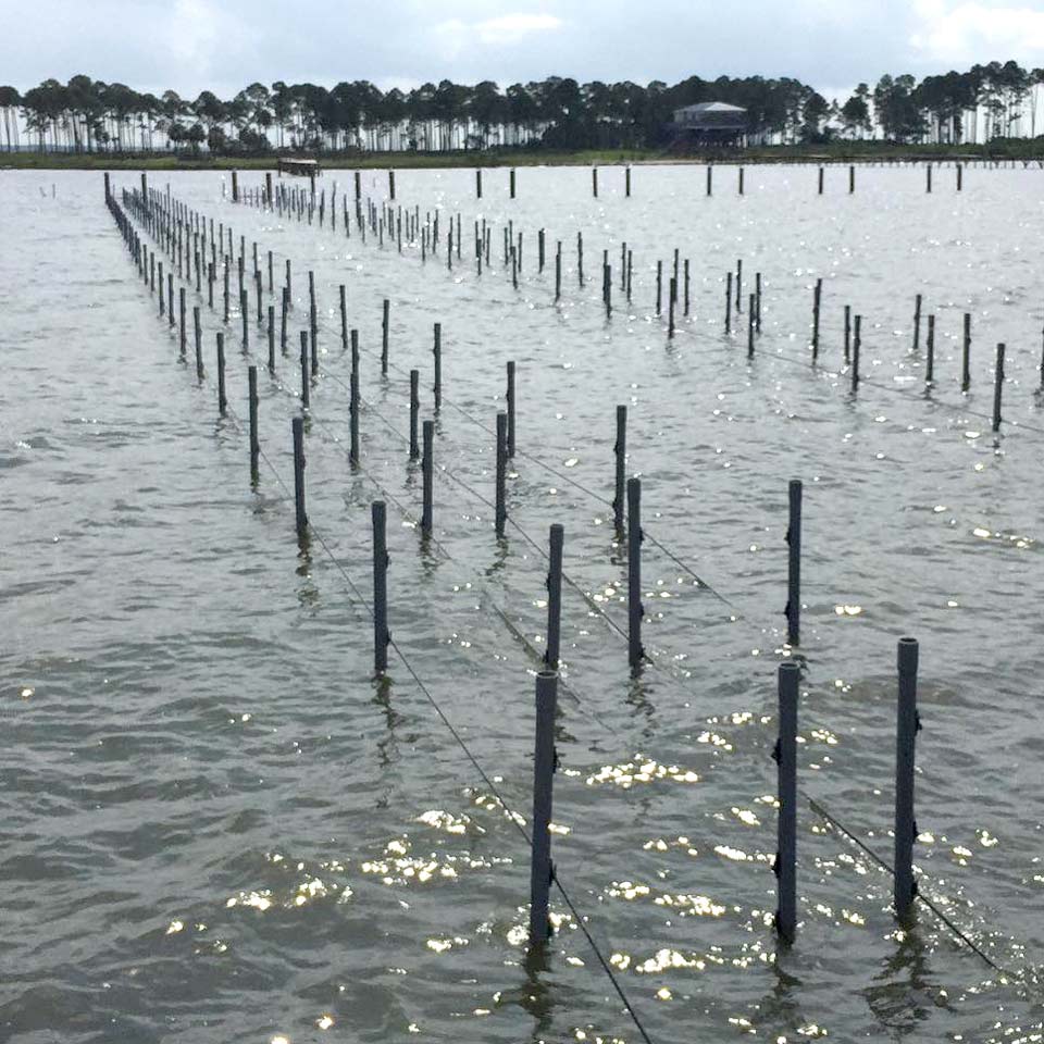 Prospective Farmers Alabama Oyster Aquaculture