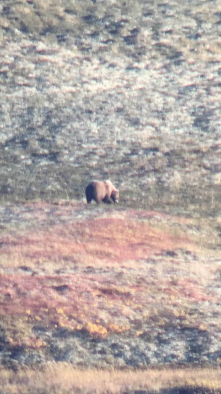 image1 Black River Hunting Alaska