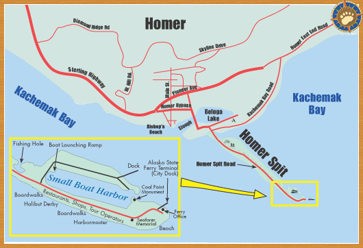 Travel to Homer, Alaska with BEARFOOT Guides Explore The Homer Spit