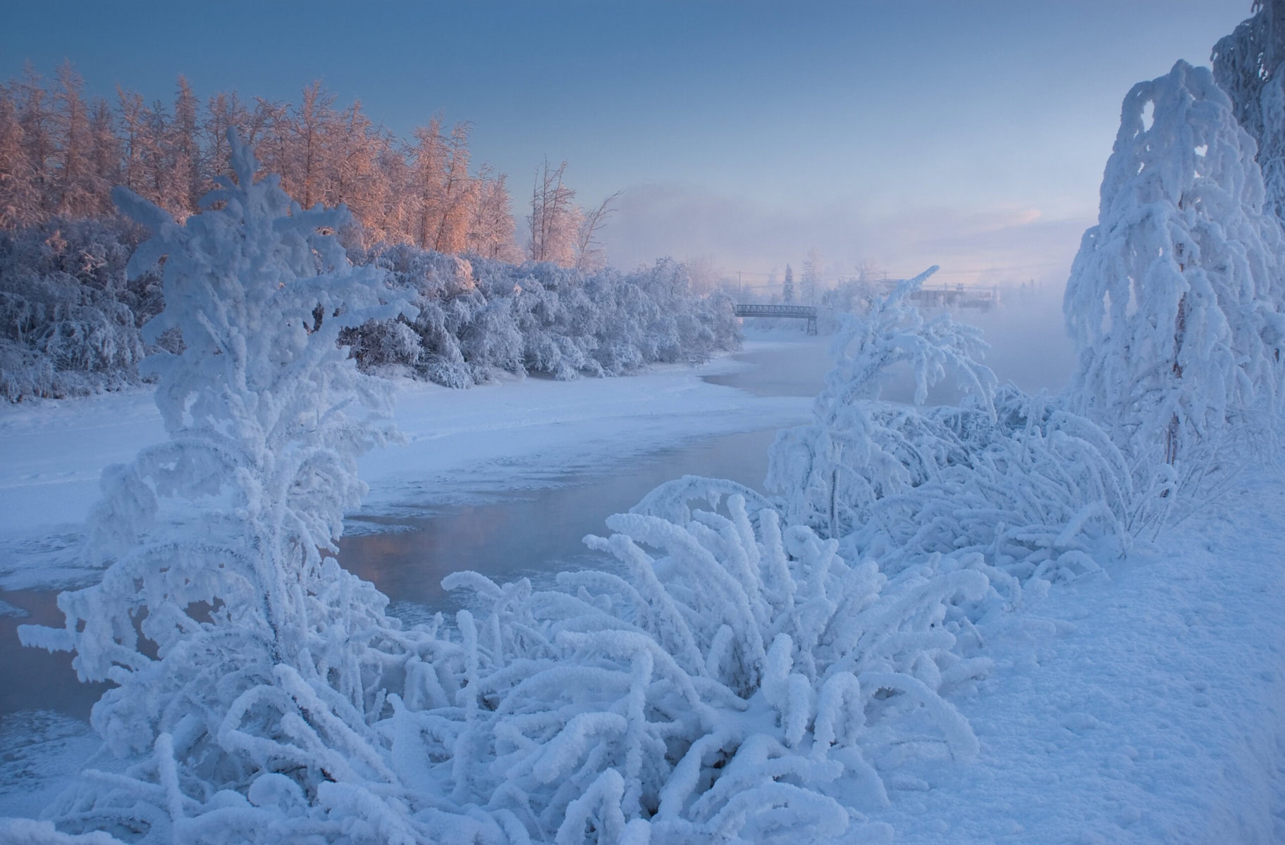 How Cold Is Alaska? Cool Facts You Need to Know!