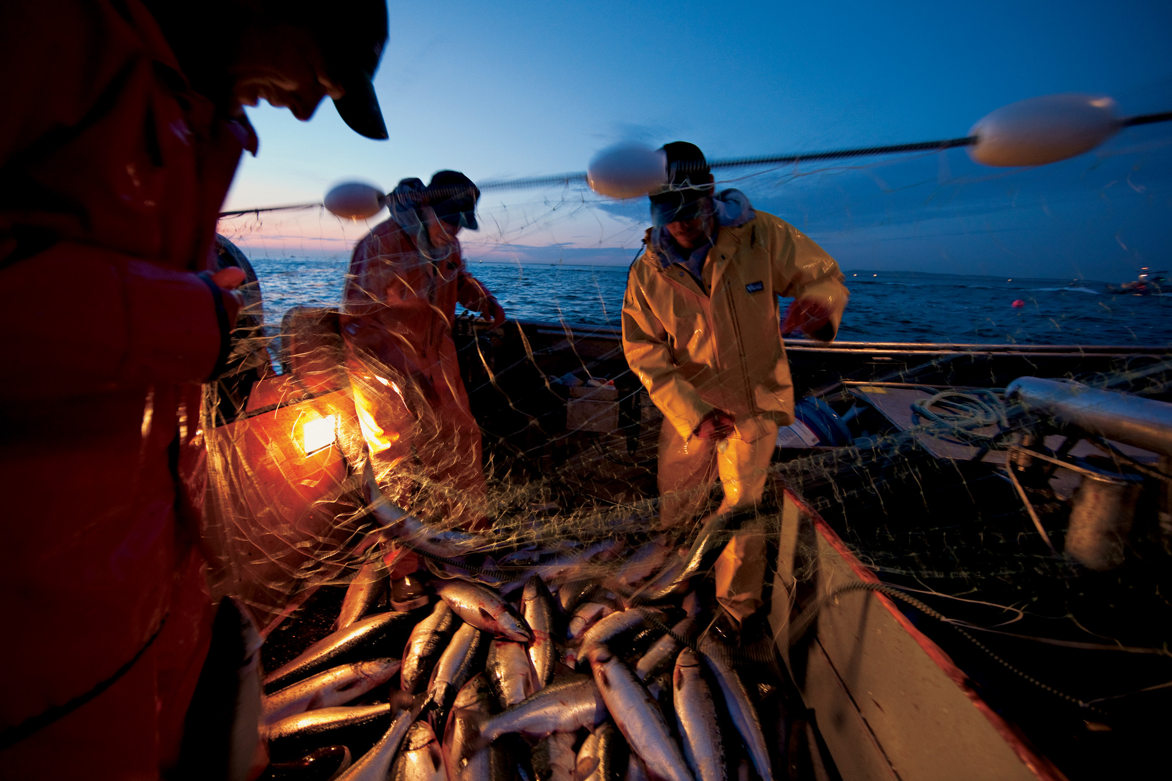 Protect Bristol Bay from Pebble Mine Alaska Conservation Foundation