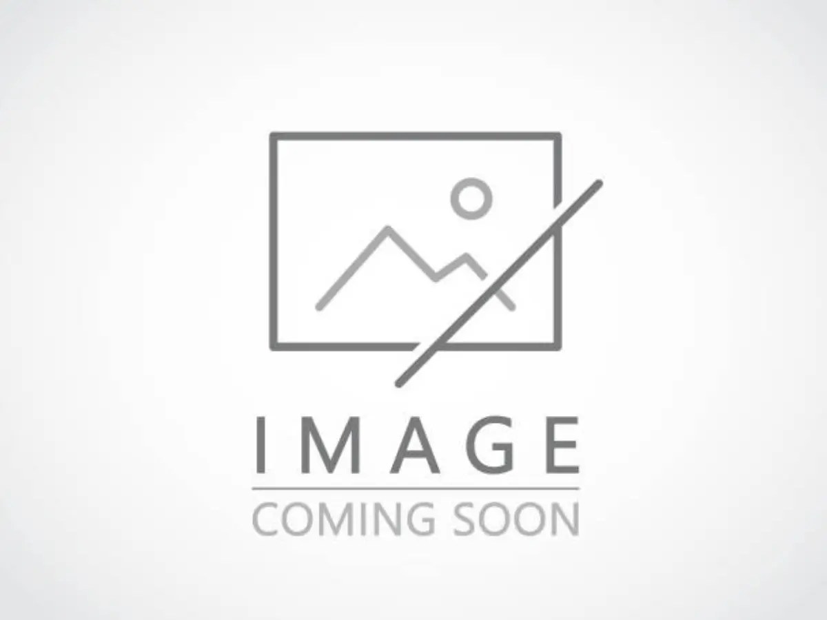 *Limited Edition* Thai Style Sweet Chili Fried Rice Alaska Dinner Factory