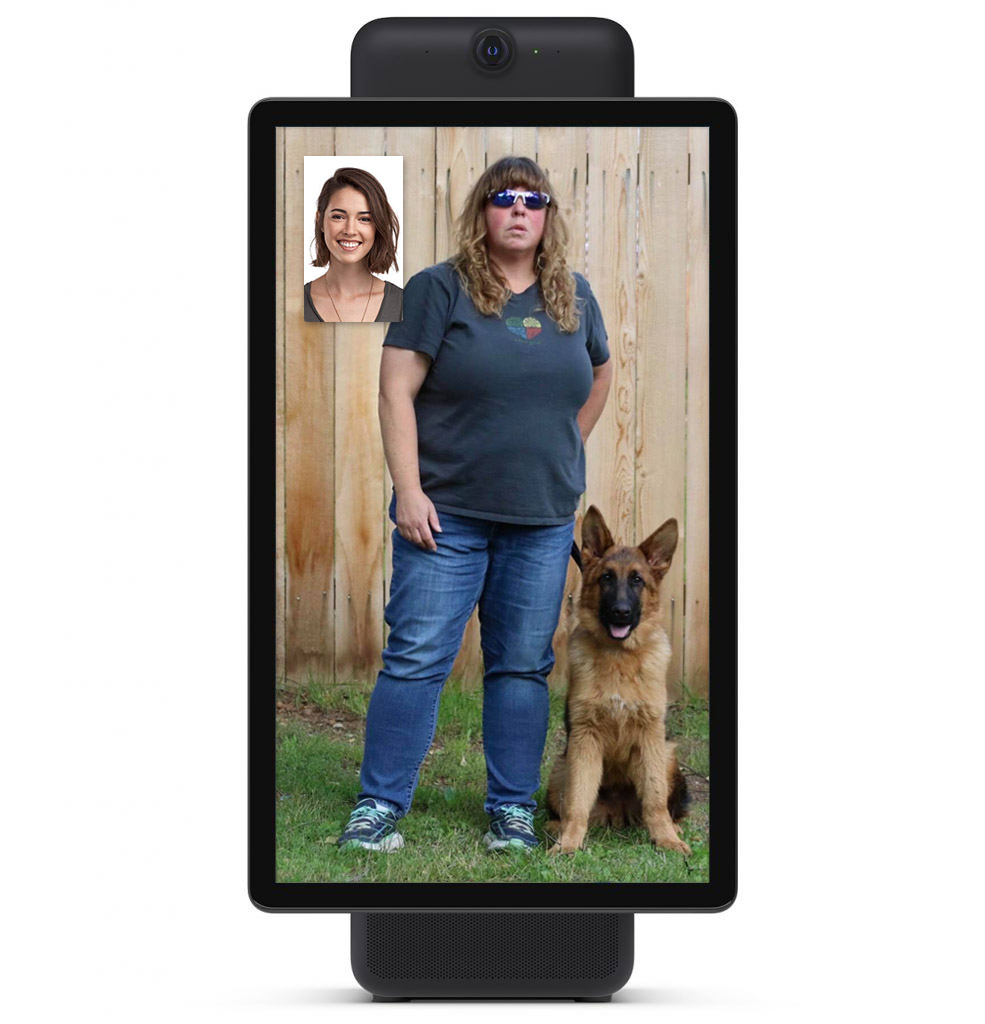 Virtual Dog Training at Alaska Dog Works Alaska Dog Works