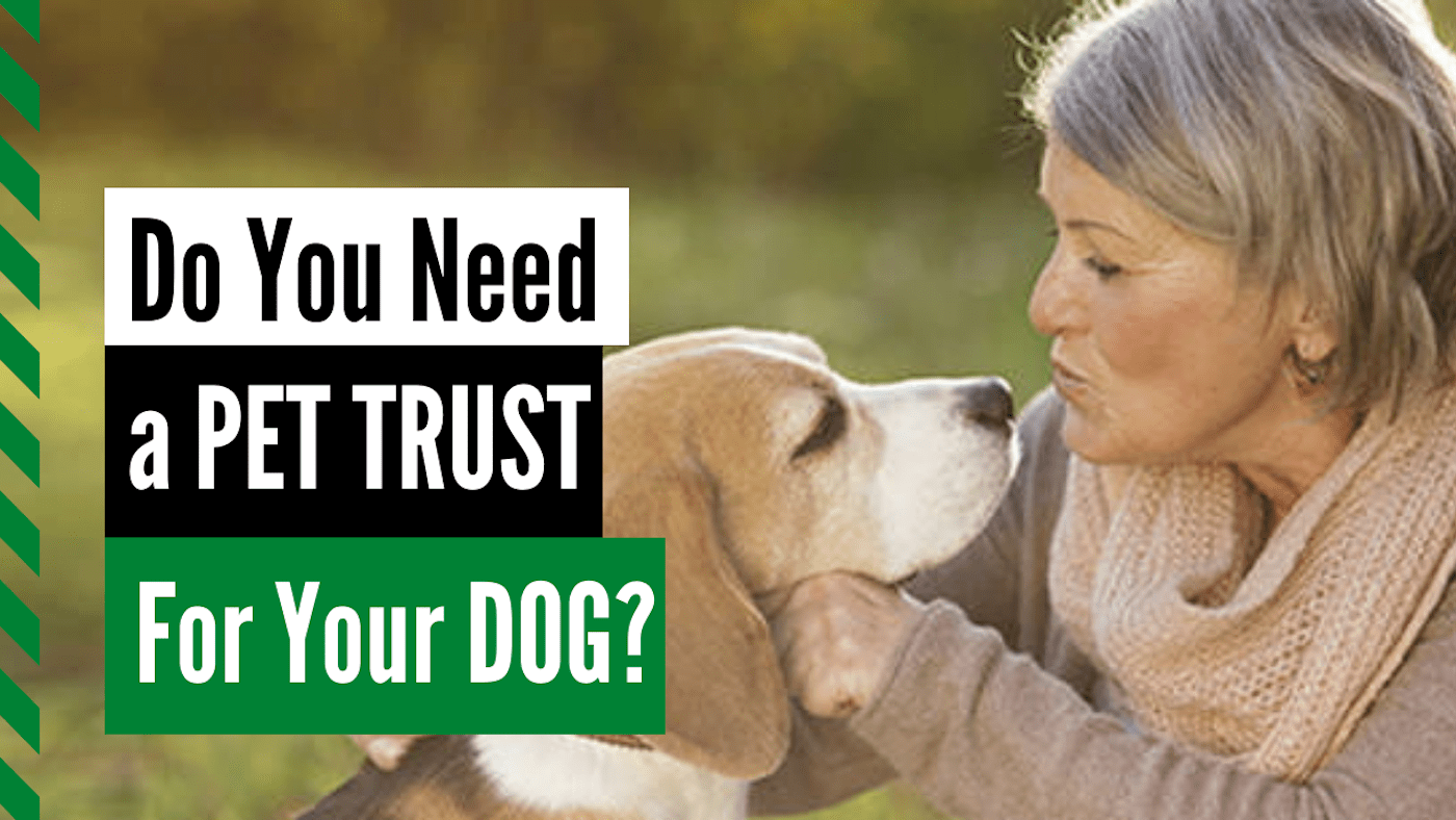 Do You Need a Pet Trust for Your Dog? Alaska Dog Works