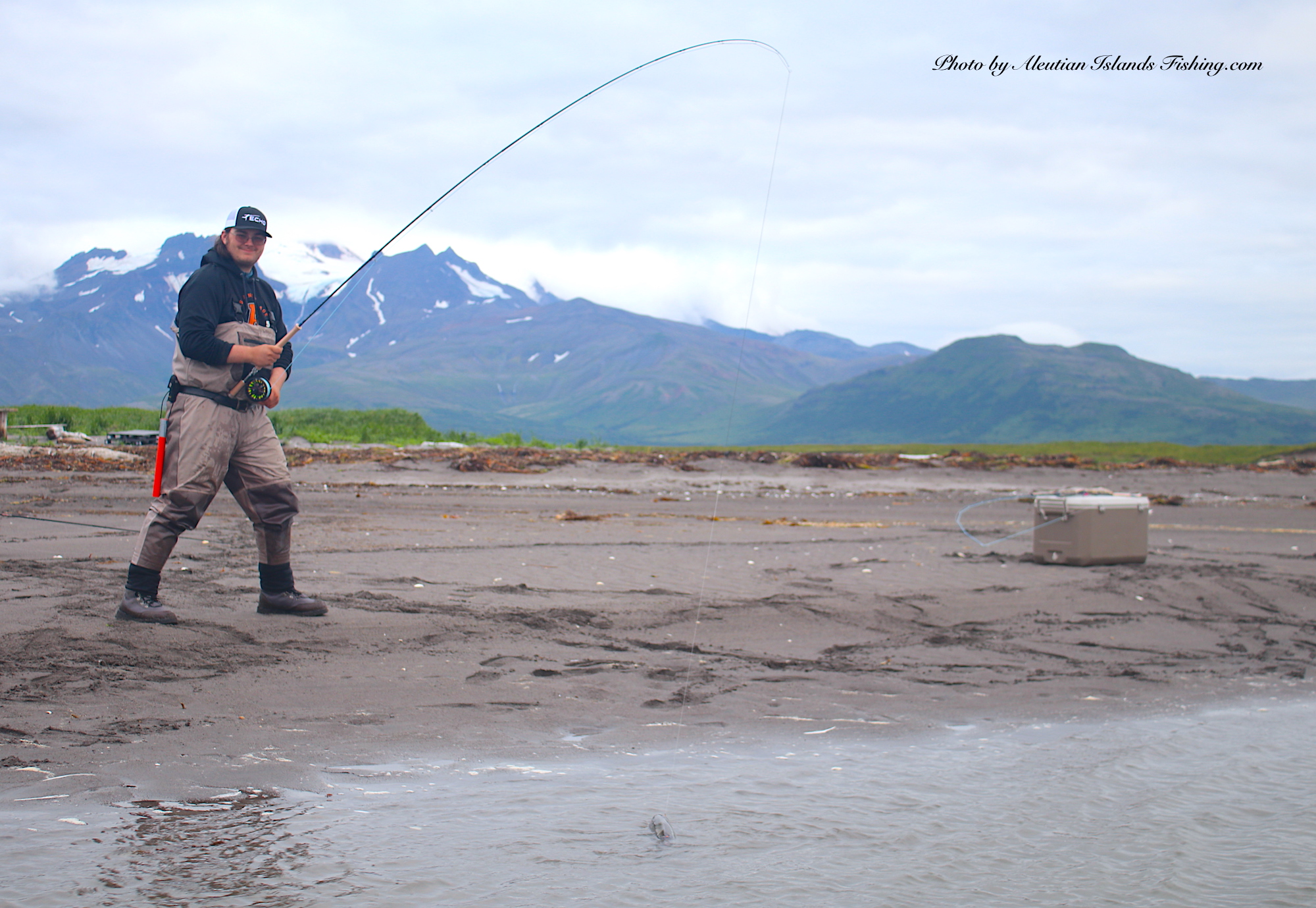 Aleutian Islands Fishing Alaska Duck Hunting King Eider Hunting