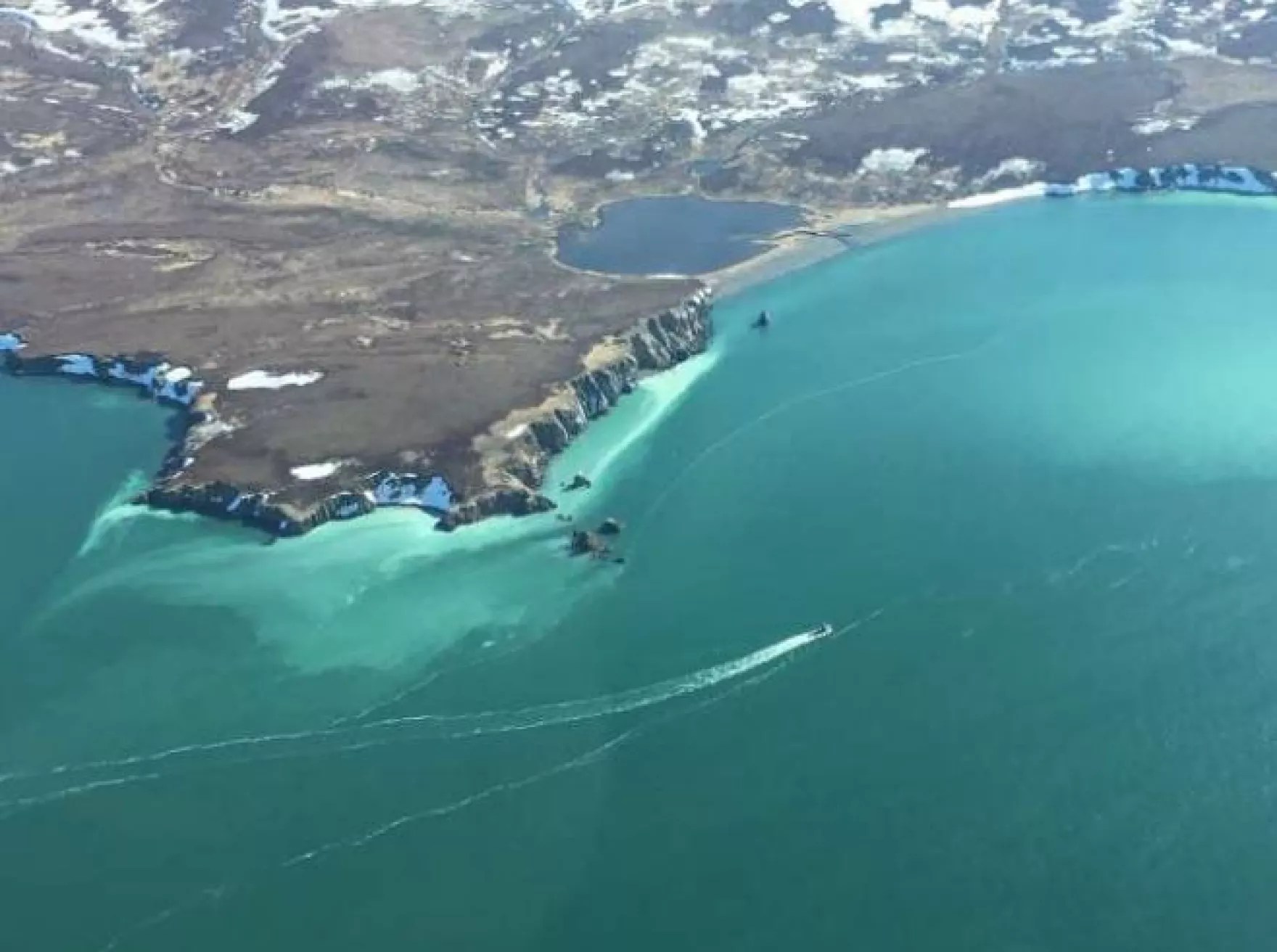 2024 Togiak herring forecast is 5th largest since 1993