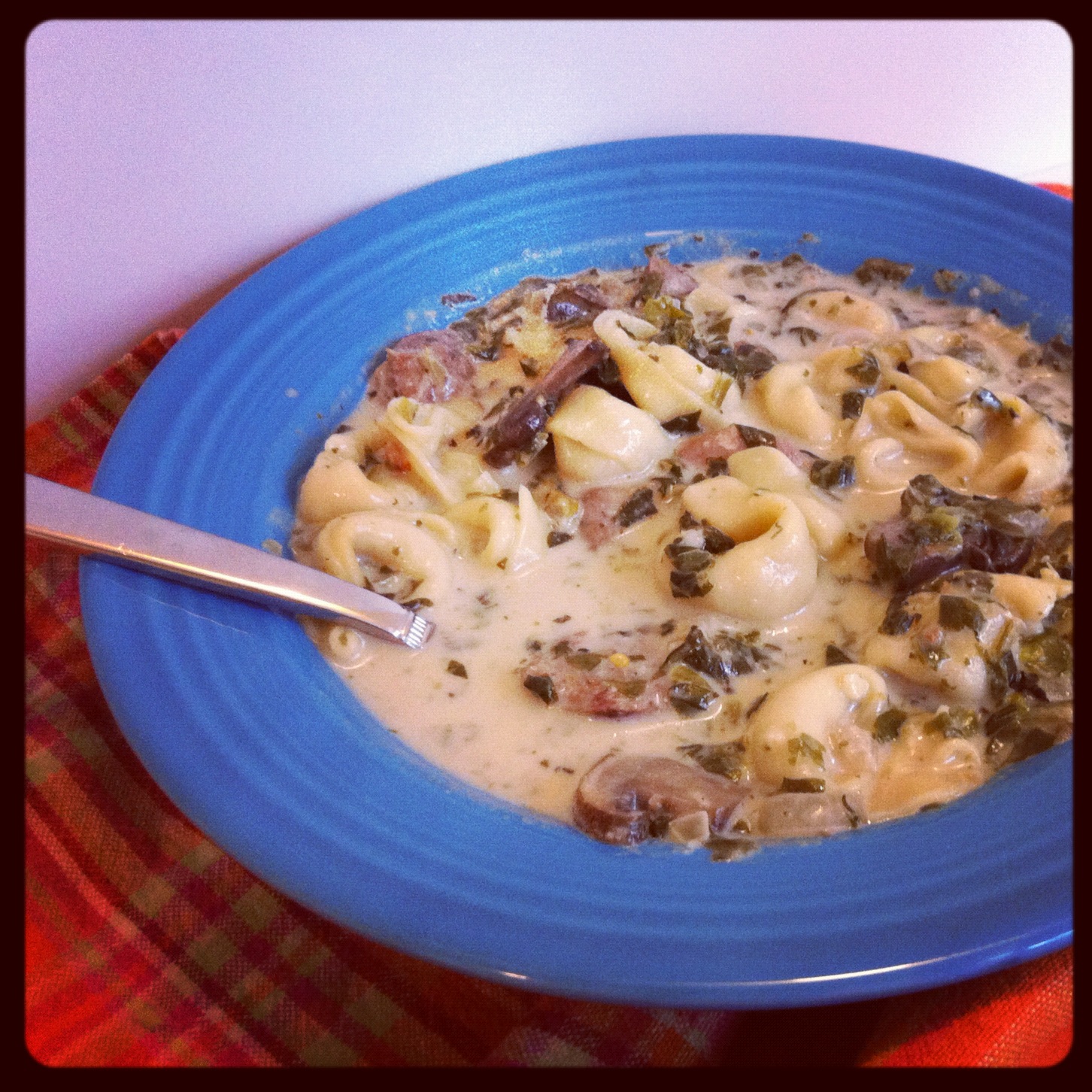 Creamy Tortellini, Sausage and Mushroom Soup Alaska Knit Nat