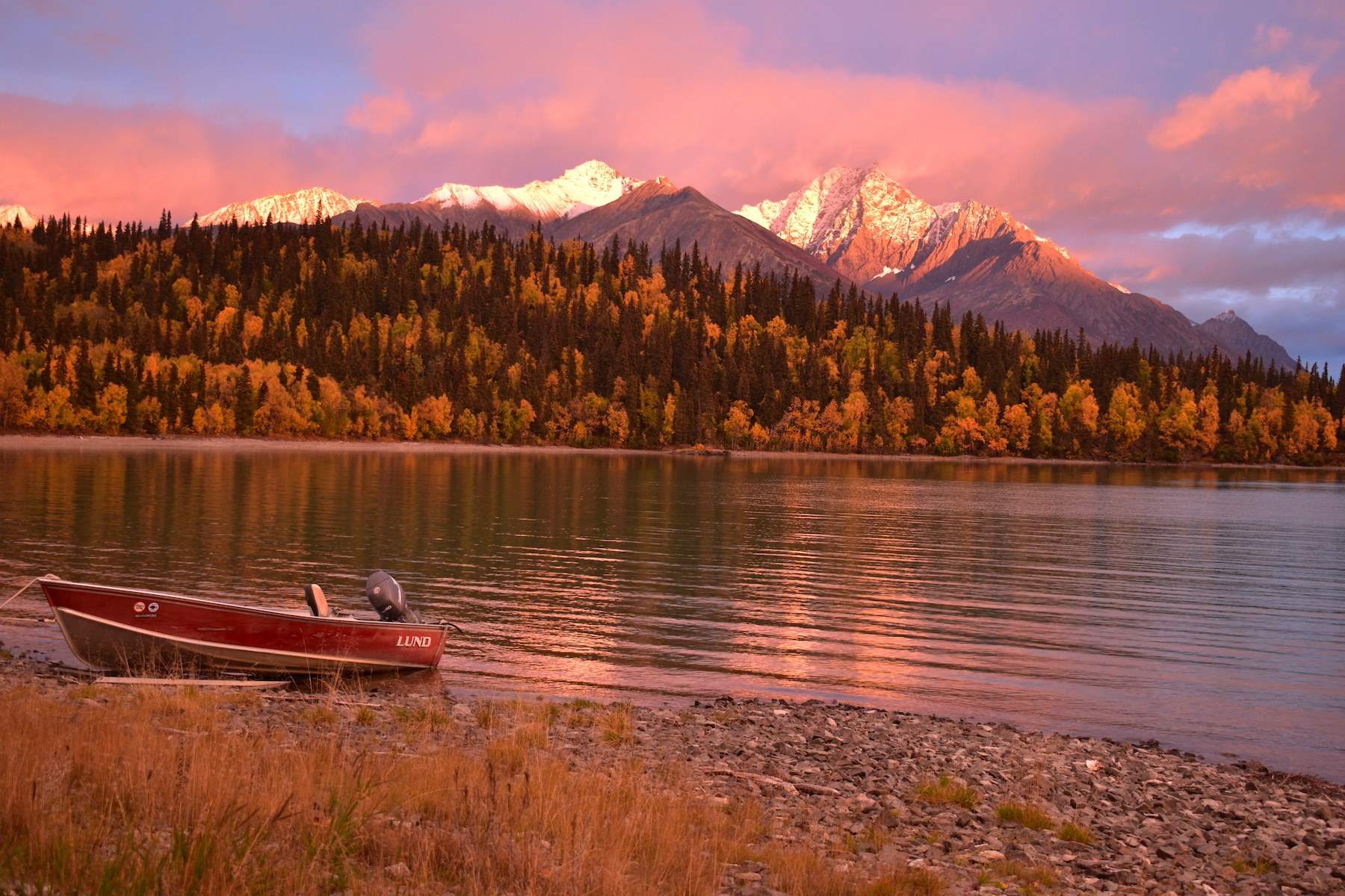Alaska Magazine A Morel Hunt to Remember