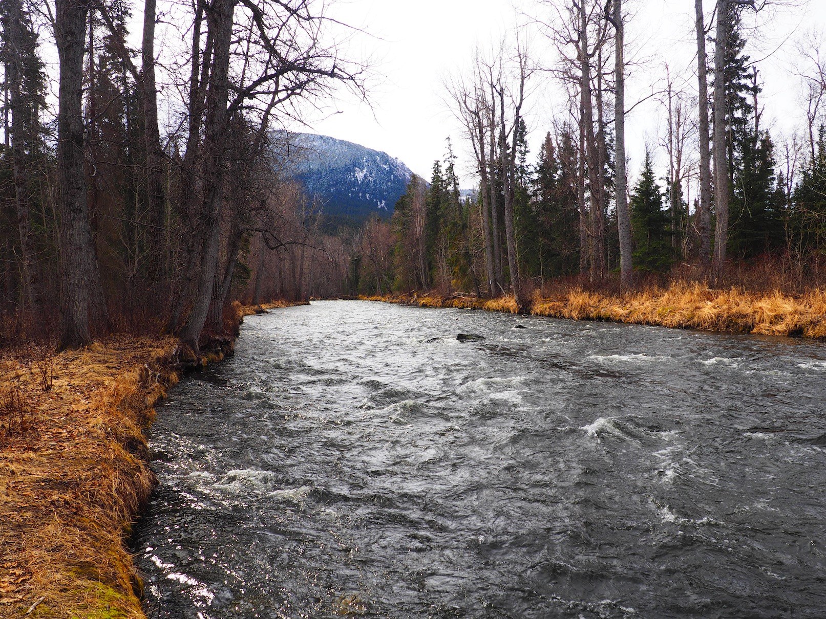 Alaska Magazine Russian River Boys