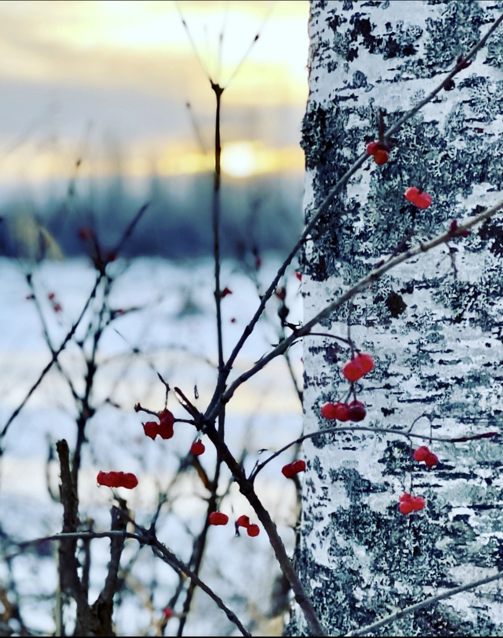 Talkeetna sunset 2022 Alaska magazine Photo Contest by Alaska
