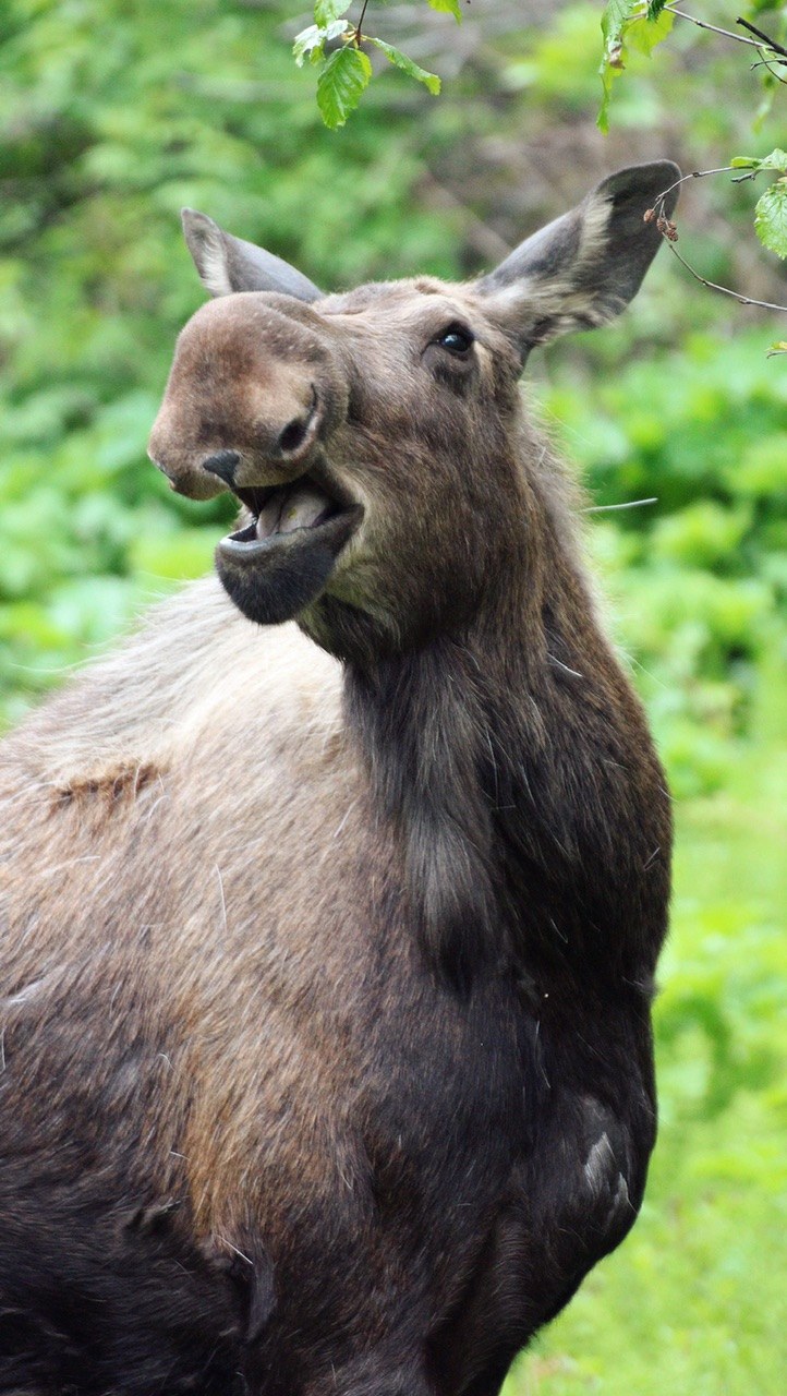 Enjoying a meal in Homer 2023 Alaska magazine Photo Contest Sponsored