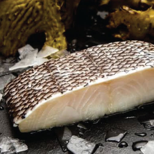 PATAGONIAN TOOTHFISH (Glacier 51) Alaskan Crab Co