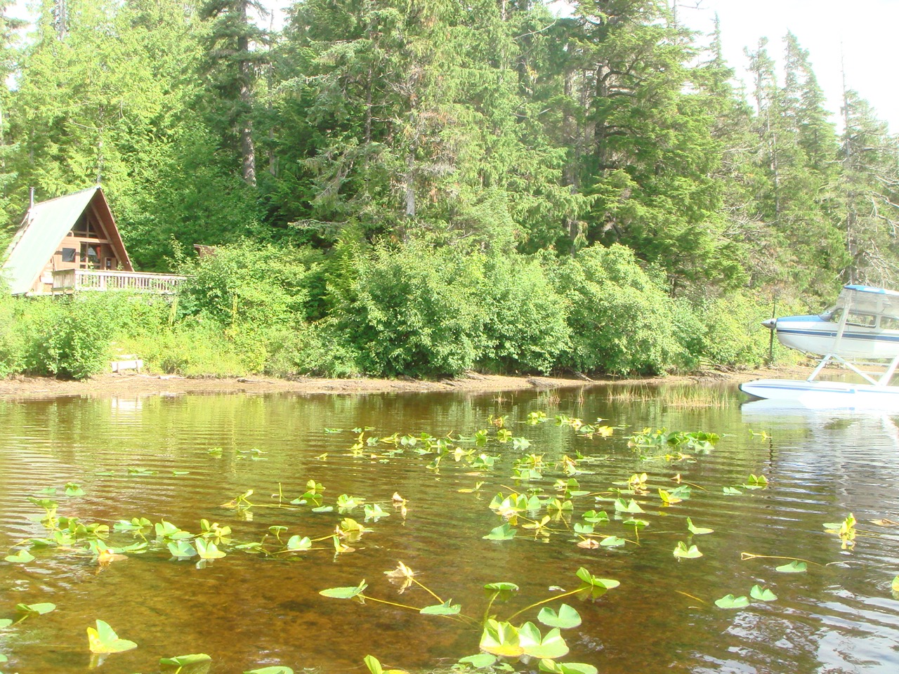 Harvey Lake Cabin Public Lake Cabins of Alaska