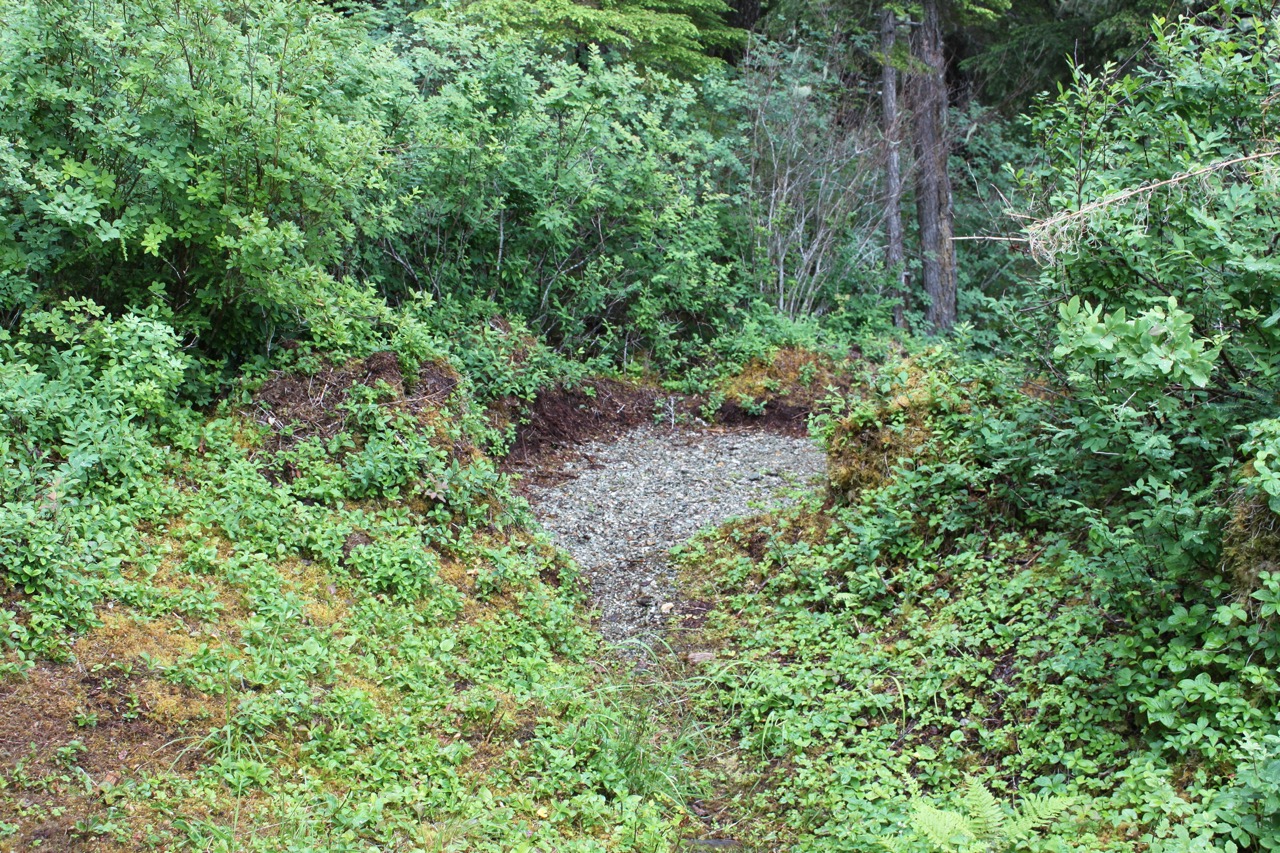 Lake Alexander Cabin Public Lake Cabins of Alaska