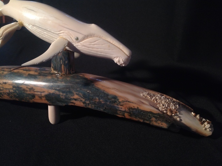 Alaska's List Collectibles Ivory Whale
