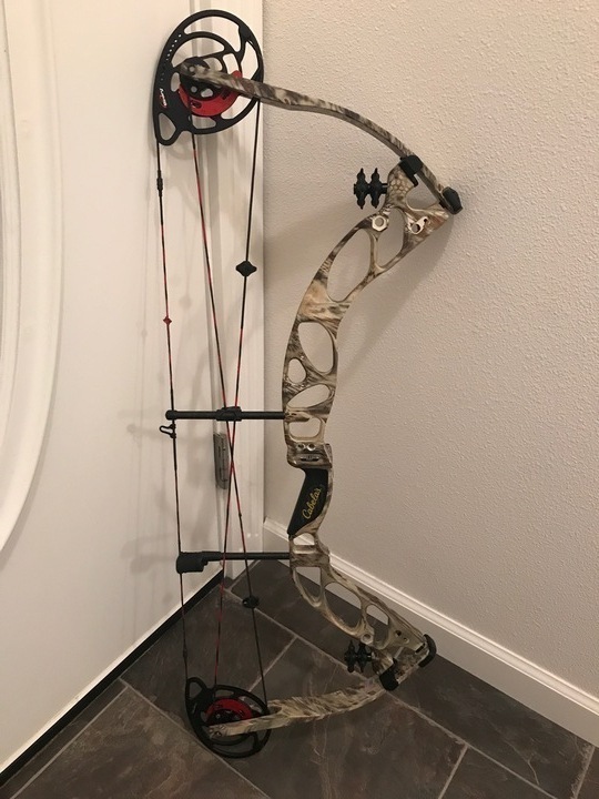 Compound Bows at Haley Barreto blog