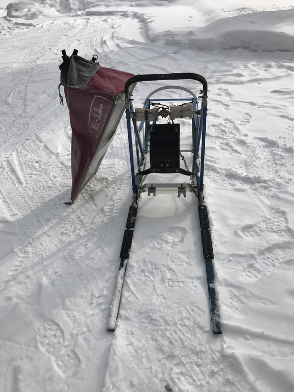 Alaska's List OT Racing Dog Sled For Sale